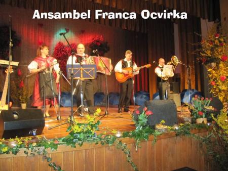 8. tradicionalni Valentinov koncert 2014 16